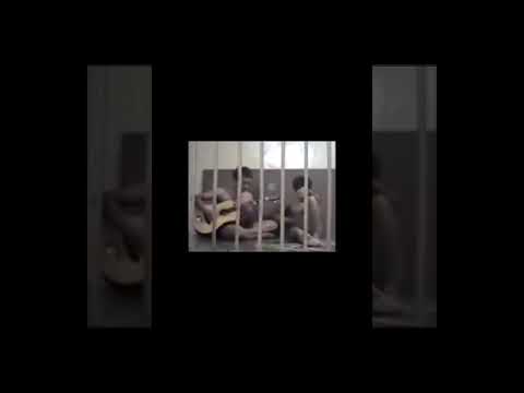 เพลงสุดท้ายก่อนถูกประหาร ต้นฉบับจากมาเล