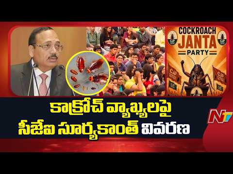 CJI Surya Kant Clarity on Cockroach Comments | NTV Telugu - NTVTELUGU