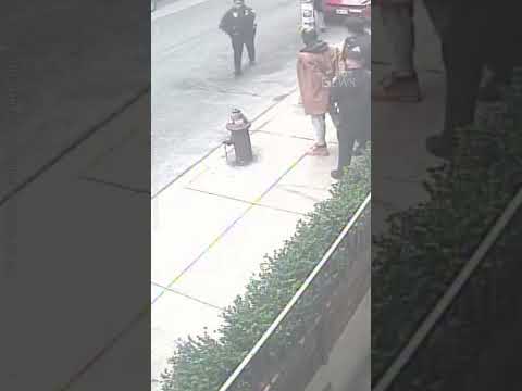 Good Samaritan helps police catch armed suspect #shorts