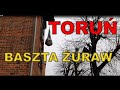 Baszta Żuraw w Toruniu