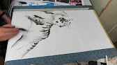 Sumi E Tiger 虎を描く Youtube