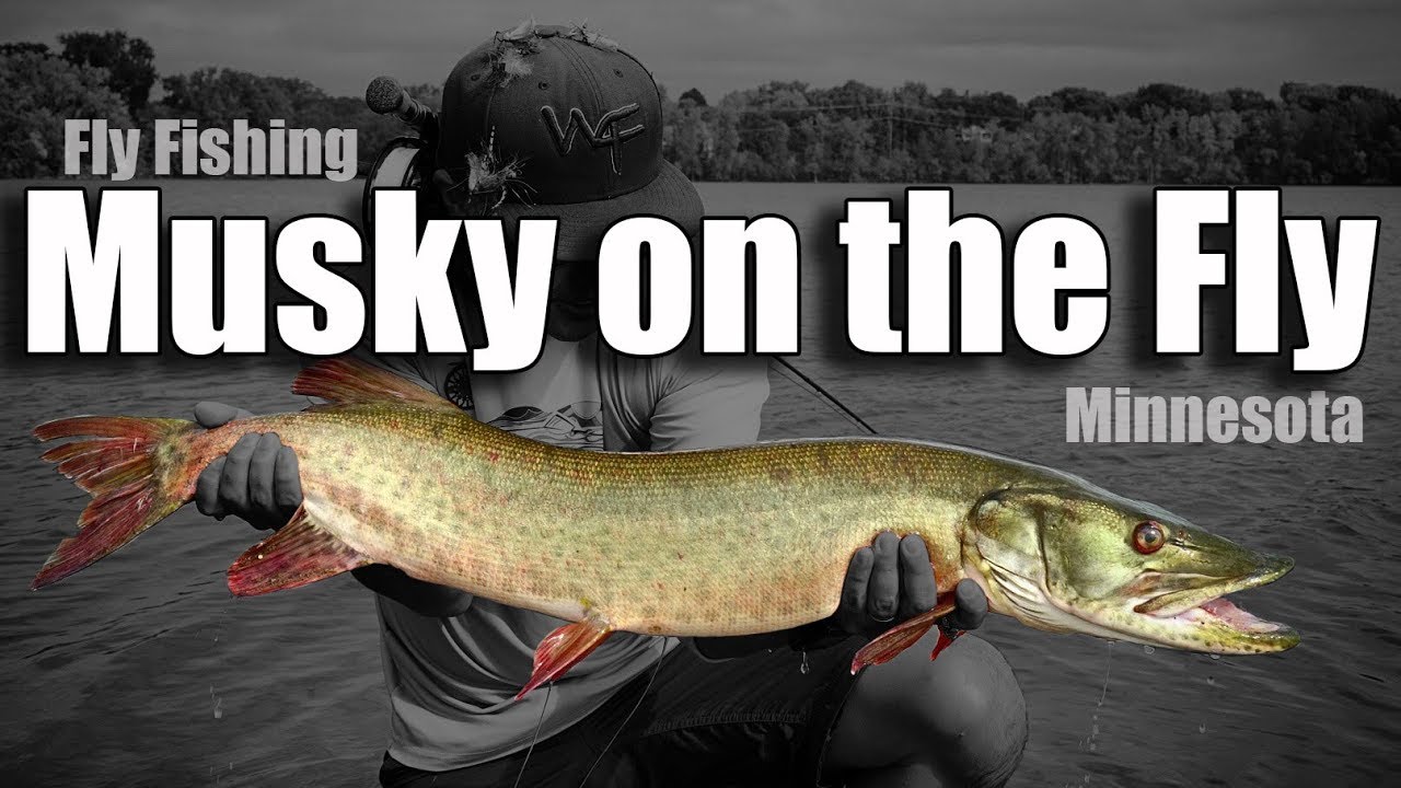 W4F Fly Fishing "Musky on the Fly" Minnesota YouTube