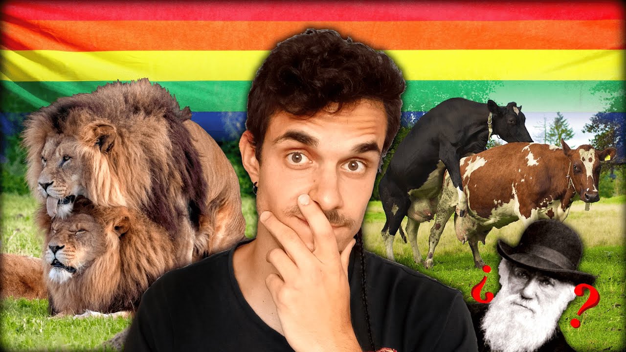 La HOMOSEXUALIDAD es una VENTAJA evolutiva - Beagle's Diary -