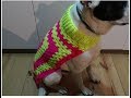 Ropa para mascotas en crochet paso a paso grandes y chicas