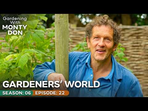 Monty Don’s Genius Fake Wasp Nest Trick For Grapes | Gardeners’ World Season 6 Episode 22