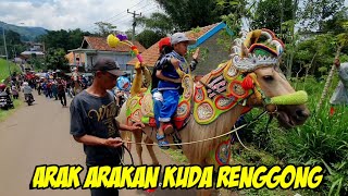 Kuda renggong cuta muda abah jaka