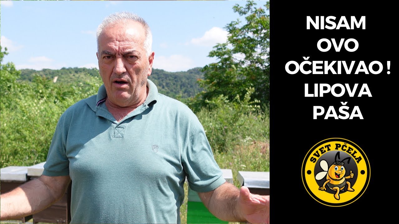 Obilazak košnica na Fruškoj Gori, paša na lipi. Pčelarstvo 2025