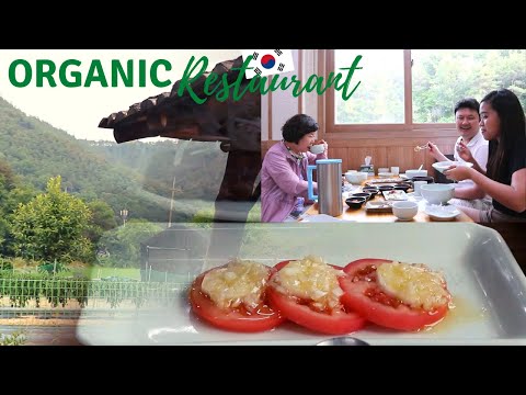 dinning at organic restaurant in the middle of the farm! 둘이먹다 하나죽어도 모르는 유기농 한국 전통 음식