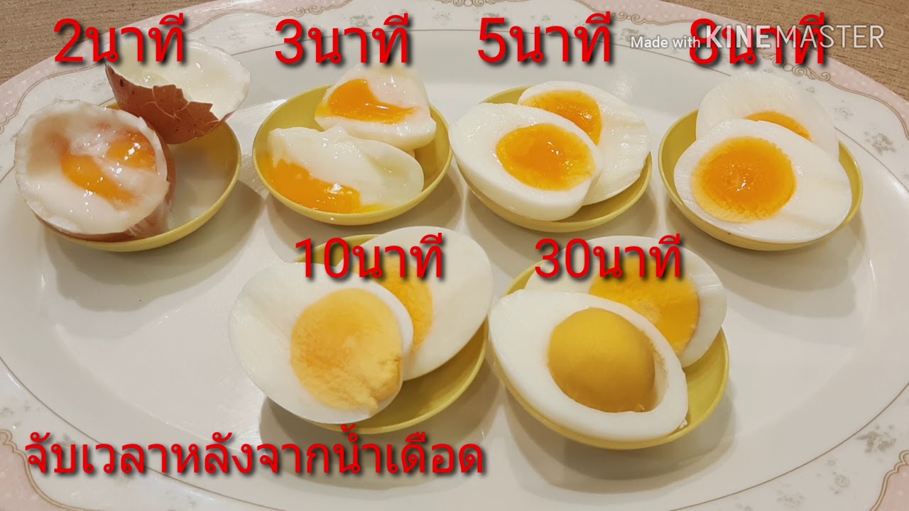 วิธี ต้ม  2022  ต้มไข่กี่นาที ? ไข่ลวก ไข่ยางมะตูม จับเวลาตอนไหน? Boiled Egg | How to Boil Egg วิธีต้มไข่ยางมะตูม