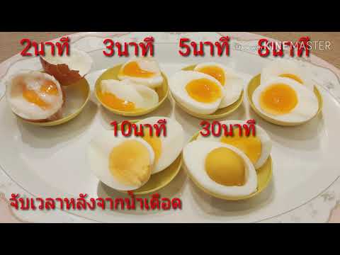 ต้มไข่กี่นาที ? ไข่ลวก ไข่ยางมะตูม จับเวลาตอนไหน? Boiled Egg | How to Boil Egg วิธีต้มไข่ยางมะตูม