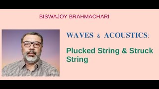 Plucked String & Struck String