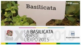 Approfondimento. Dipartimento politiche agricole e forestali all'Expo 2015