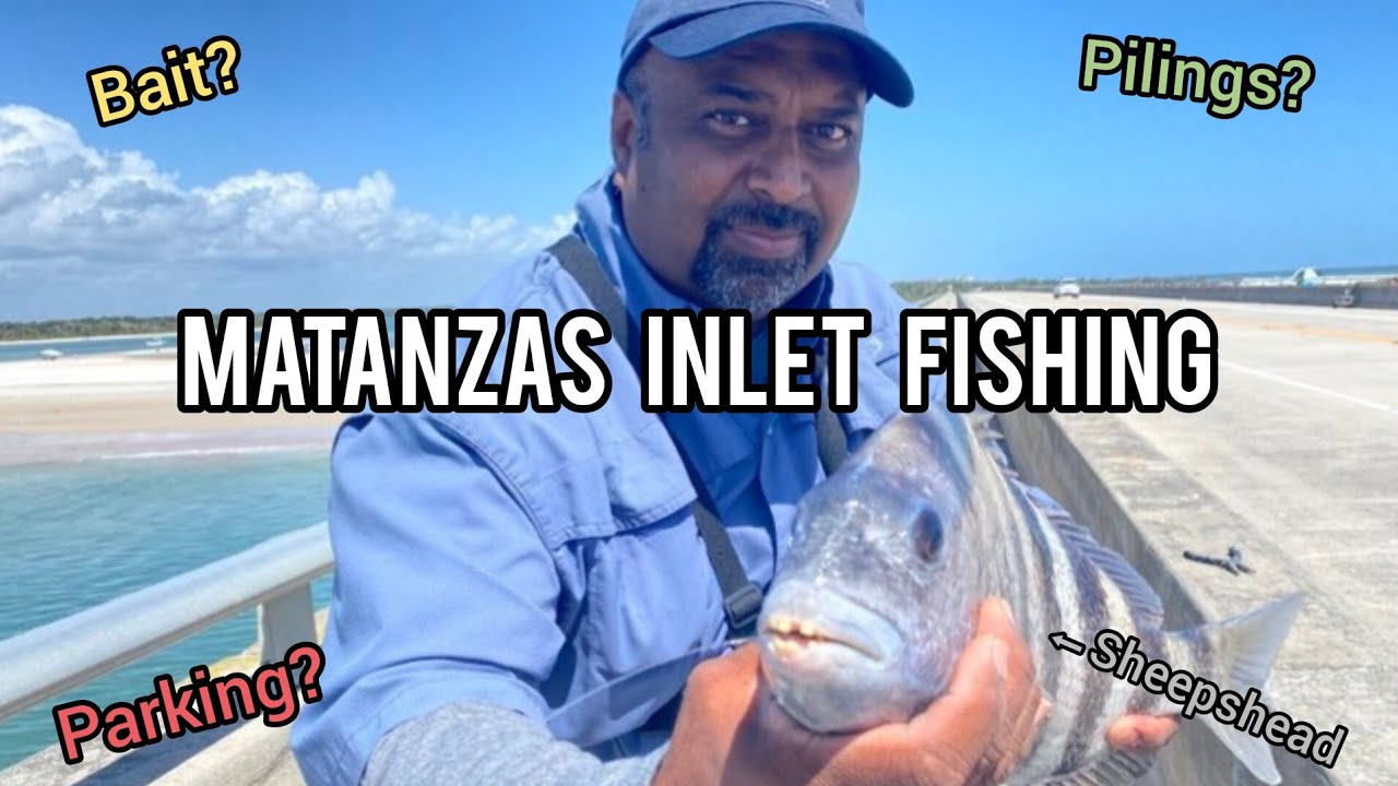 Matanzas Inlet Fishing Bait Shop Parking Pilings Fish YouTube matanzas-inlet-fishing-bait-shop-parking-pilings-fish-youtube