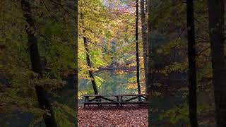 Yine Aylardan Kasım