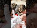 猫と赤ちゃんが出会った瞬間、可愛さが限界突破 #猫 #赤ちゃん猫 #猫可愛い #猫癒し #猫動画
