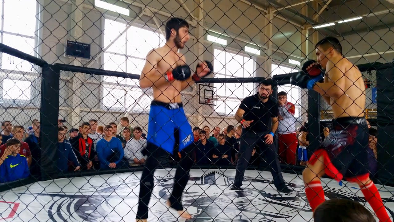 Шахты - "Кубок гладиаторов" Бои ММА - 6 (4K Ultra HD Video)