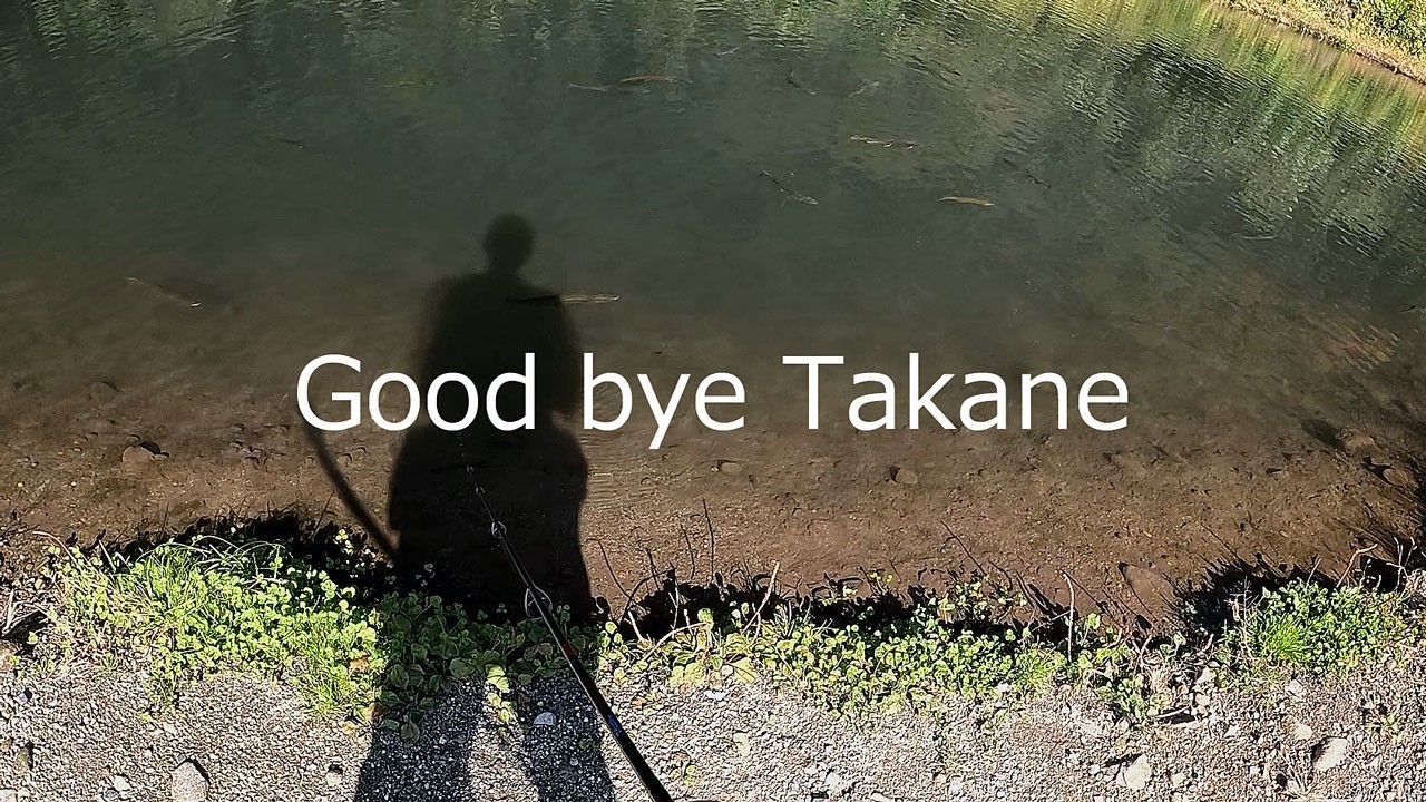 Good bye Takane Trout Mountains