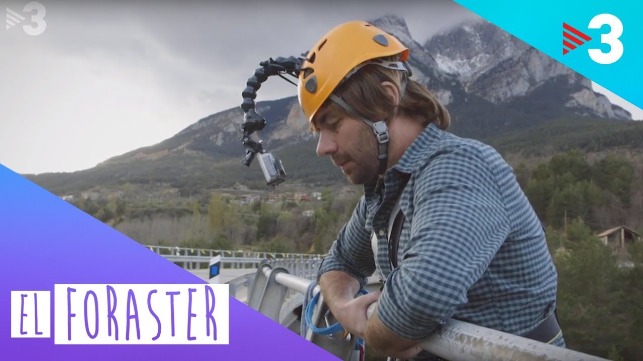 Els reptes del Foraster