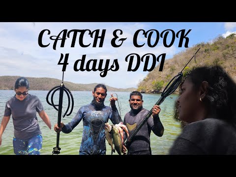 4 Days Camping DDI | DAY 1 - 2| Catch, Clean, and  Cook | Spearfishing & Rockfishing - In D Bocas🇹🇹