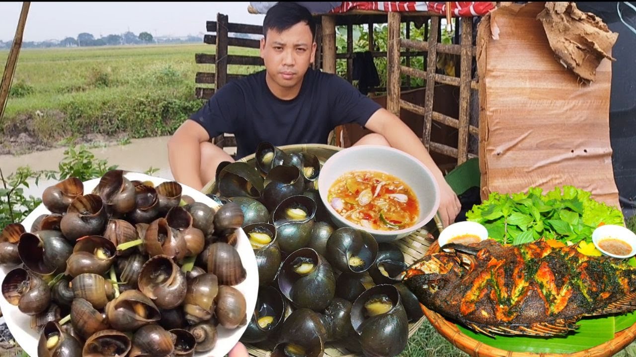 A Day of Planting Bananas at the Farm and Collecting snails in the Fields for  a Meal