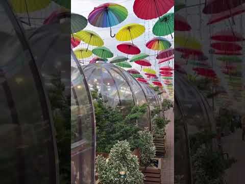 ☂️ Аллея парящих зонтиков в Адлере Атмосферное место для прогулок и красивых фото. #2024