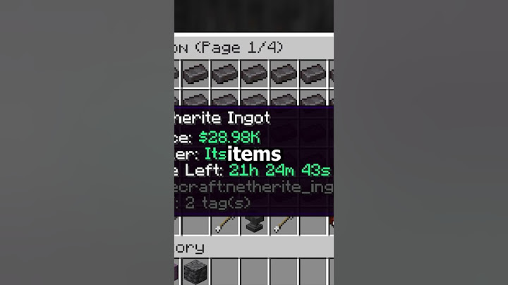 This Item Can Make You MILLIONS on the Donut SMP!