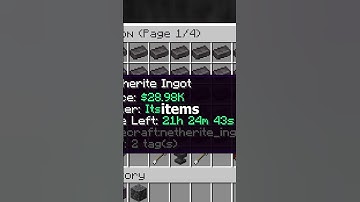 This Item Can Make You MILLIONS on the Donut SMP!