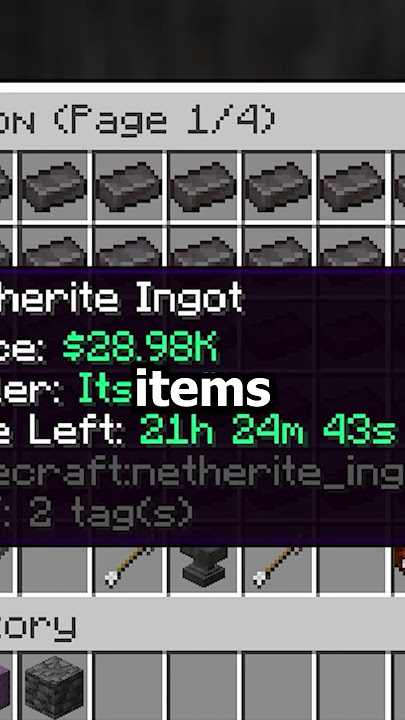 This Item Can Make You MILLIONS on the Donut SMP!