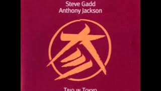 Michel Petrucciani, Steve Gadd & Anthony Jackson - Little Piece In C For U