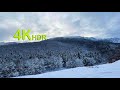 4K Winter Hike through Snowy Forest