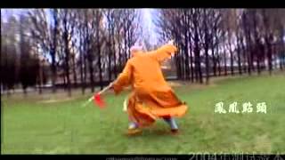 Shaolin Kung Fu By Shi Heng Jun