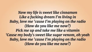 Lana Del Rey- Radio(lyrics)🎤