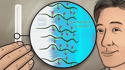 Bioinspired Catheters: A Breakthrough Against Deadly Infections