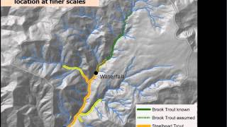 The Science of Riparian Buffers in Headwaters