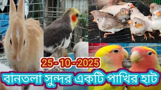 Bantala Bird Market. আজকে বানতলা হাটে পাখির দাম কি যাচ্ছে জানবো। Bantala Hat. বানতলা পাখির হাট।।