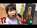 トゥントゥントゥンサフールが助けて欲しい⁉️その理由がまさかの・・・・・😱⁉️【寸劇】