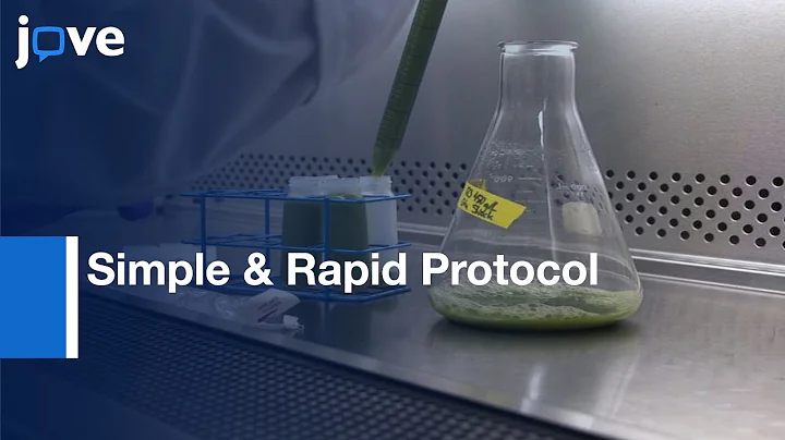 Simple & Rapid Protocol For Measuring Neutral Lipids In Algal Cells l Protocol Preview