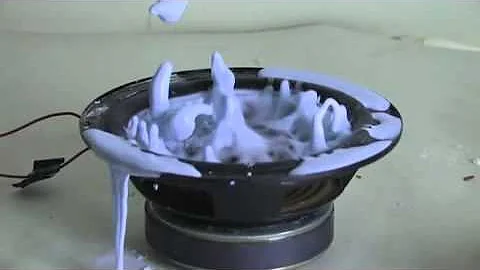 Non Newtonian Fluid on a Speaker Cone