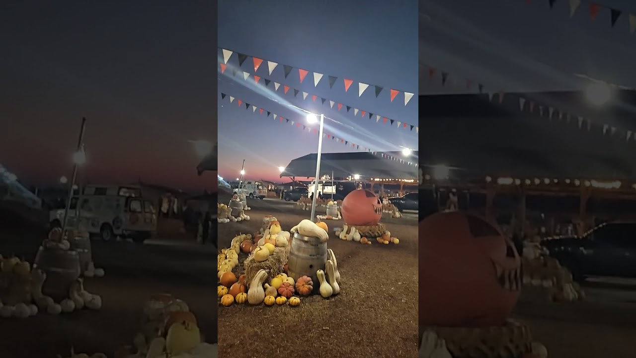 Dutch Hollow Farm, Modesto, CA. 🟠🖤⚪ YouTube