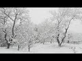 Snow Falling Winter 🌊 | 4 Hours Ambient | Work & Meditation | Calm Veritas