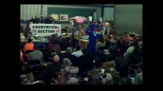 Countryside Auction - Harlem Shake