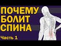 Почему болит спина? Часть 1 [S04E06]