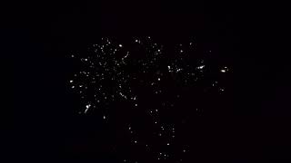 Shark Bite Ninja Fireworks