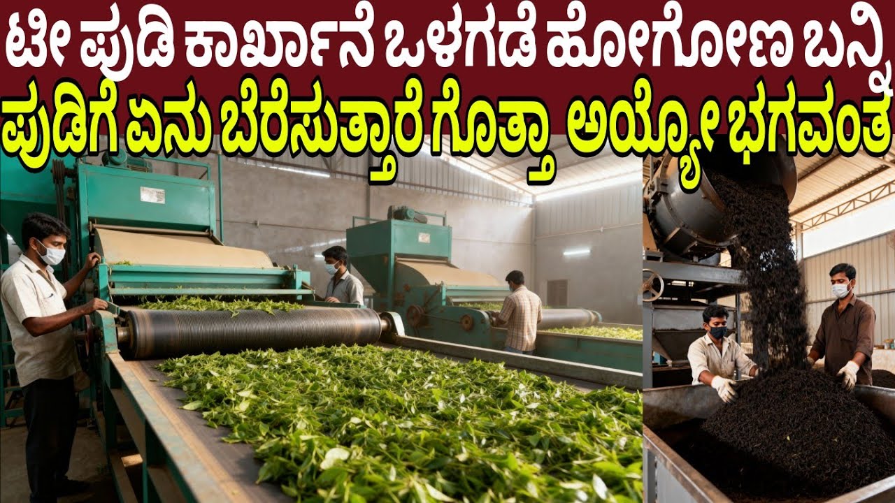 ಟೀ ಪುಡಿ ಕಾರ್ಖಾನೆ ಒಳಗಡೆ ಹೋಗೋಣ ಬನ್ನಿ ಟೀ ಪುಡಿಗೆ ಏನು ಬೆರೆಸುತ್ತಾರೆ ಗೊತ್ತಾ  ಅಯ್ಯೋ ಭಗವಂತ | Tea Factory