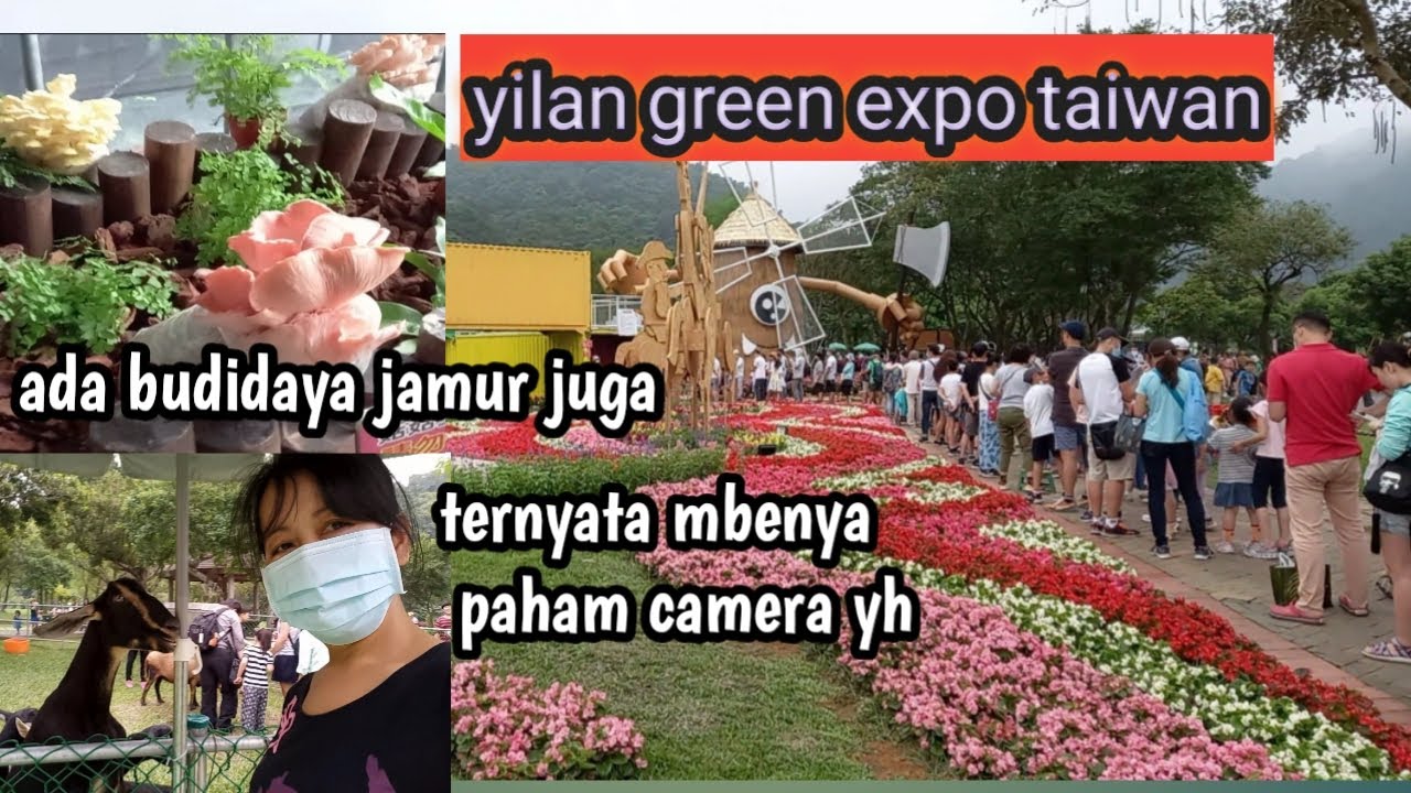 jalan jalan  ke yilan green expo bersama bos  #tkwtaiwan