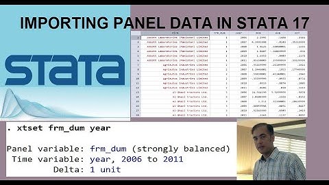 Importing Panel Data in STATA 17 (Firm