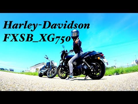 Video: Sømand Jerry Og Harley-Davidson Går Sammen Om Badass-motorcykelkunst