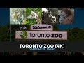 Toronto zoo  complete tour 4k