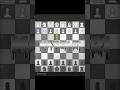 Chaos on the Chessboard! #21 King’s Knight Opening Gone Wrong! Blunders & misses #shorts #chess