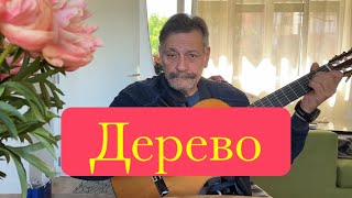 Дерево.